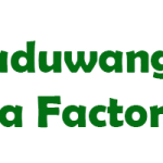 Daduwangala Watte Tea Factory