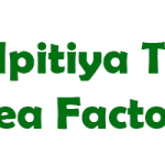 Elpitiya Tea Shakthi Tea Factory