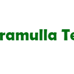 Eramulla Tea Factory