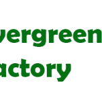Evergreen Tea Factory
