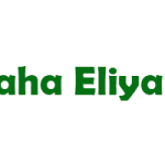 Maha Eliya Estate