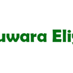 Nuwara Eliya Estate