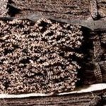 SCRAP CREPE